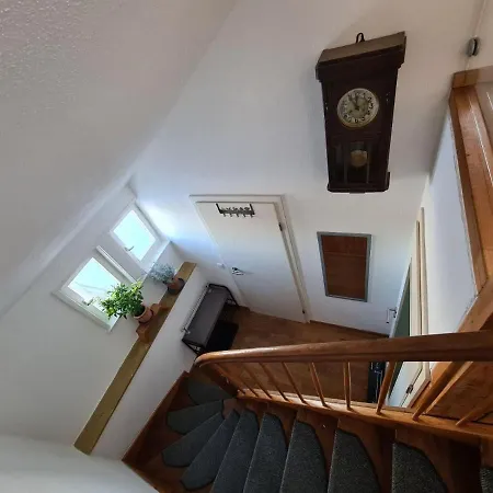 Ferienwohnung-rotmoosblick-direkt-am-rande-unberuehrter-natur Апартаменты *