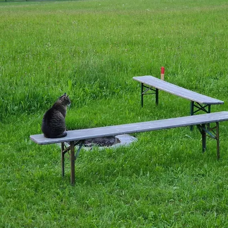 Ferienwohnung-rotmoosblick-direkt-am-rande-unberuehrter-natur Daire