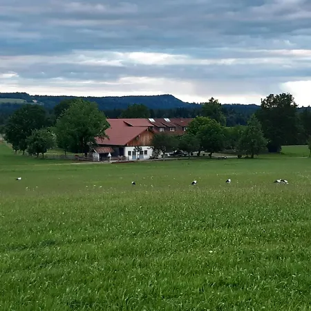 Apartment Ferienwohnung-rotmoosblick-direkt-am-rande-unberuehrter-natur